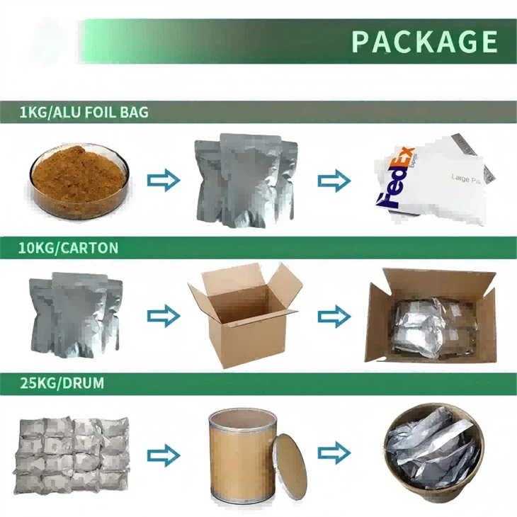 Bacillus Amyloliquefaciens